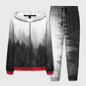 Мужской костюм 3D с принтом Туманный лес в Новосибирске, 100% полиэстер | Манжеты и пояс оформлены тканевой резинкой, двухслойный капюшон со шнурком для регулировки, карманы спереди | tegunvteg | деревья | лес | листья | природа | темный лес | туман | туманный лес