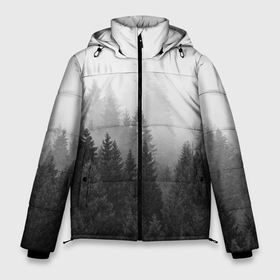 Мужская зимняя куртка 3D с принтом Туманный лес в Белгороде, верх — 100% полиэстер; подкладка — 100% полиэстер; утеплитель — 100% полиэстер | длина ниже бедра, свободный силуэт Оверсайз. Есть воротник-стойка, отстегивающийся капюшон и ветрозащитная планка. 

Боковые карманы с листочкой на кнопках и внутренний карман на молнии. | Тематика изображения на принте: tegunvteg | деревья | лес | листья | природа | темный лес | туман | туманный лес