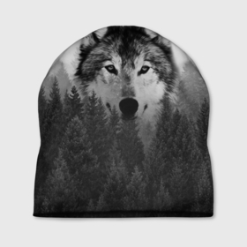 Шапка 3D с принтом Волк в Новосибирске, 100% полиэстер | универсальный размер, печать по всей поверхности изделия | Тематика изображения на принте: tegunvteg | волк | деревья | красивый лес | лес | листья | природа | собака | темный лес