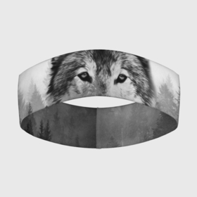 Повязка на голову 3D с принтом Волк в Курске,  |  | tegunvteg | волк | деревья | красивый лес | лес | листья | природа | собака | темный лес