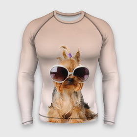 Мужской рашгард 3D с принтом собака в очках в Тюмени,  |  | лето | маленткая | мода | отдых | очки | собака | солнечные очки | солнцезащитные очки | хвостик