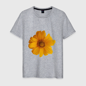 Мужская футболка хлопок с принтом Подсолнух в Екатеринбурге, 100% хлопок | прямой крой, круглый вырез горловины, длина до линии бедер, слегка спущенное плечо. | иллюстрации | картинки | лето | подсолнух | популярные | прикольные | природа | тренд | цветы