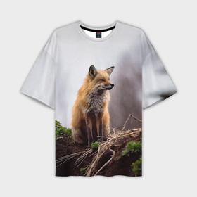 Мужская футболка oversize 3D с принтом Лисица рыжая в Санкт-Петербурге,  |  | fox | foxy | животное | звери | лиса | лисенок | лисичка | милая | рыжая | фокс