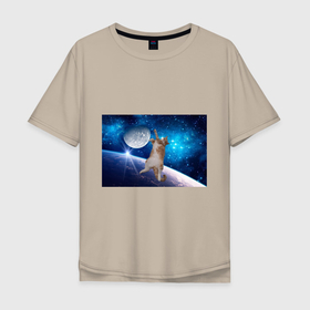 Мужская футболка хлопок Oversize с принтом Кисулькин в космосе в Петрозаводске, 100% хлопок | свободный крой, круглый ворот, “спинка” длиннее передней части | Тематика изображения на принте: астроном пушистый | барсик | звезды | космос | котики | коты