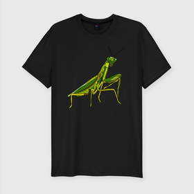 Мужская футболка хлопок Slim с принтом Богомол в Курске, 92% хлопок, 8% лайкра | приталенный силуэт, круглый вырез ворота, длина до линии бедра, короткий рукав | animals | insect | mantis | nature | summer | богомол | весна | дикие | животные | жуки | звери | зеленый богомол | клещни | комары | кузнечики | лапки | лето | мухи | насекомое | природа | самка | стрекоза | существа | усики