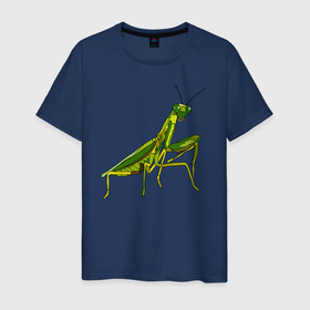 Мужская футболка хлопок с принтом Богомол в Санкт-Петербурге, 100% хлопок | прямой крой, круглый вырез горловины, длина до линии бедер, слегка спущенное плечо. | animals | insect | mantis | nature | summer | богомол | весна | дикие | животные | жуки | звери | зеленый богомол | клещни | комары | кузнечики | лапки | лето | мухи | насекомое | природа | самка | стрекоза | существа | усики