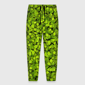 Мужские брюки 3D с принтом Хмель в Санкт-Петербурге, 100% полиэстер | манжеты по низу, эластичный пояс регулируется шнурком, по бокам два кармана без застежек, внутренняя часть кармана из мелкой сетки | зелёный | листья | паттерн | растение | хмель | хмельной | шишки