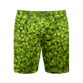 Мужские шорты спортивные с принтом Хмель ,  |  | зелёный | листья | паттерн | растение | хмель | хмельной | шишки