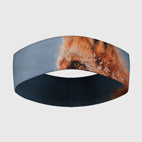 Повязка на голову 3D с принтом Лиса в Тюмени,  |  | fox | foxy | животное | звери | лиса | лисенок | лисичка | милая | рыжая | фокс