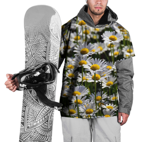 Накидка на куртку 3D с принтом Ромашки , 100% полиэстер |  | поле | поля | природа | природный | растение | растения | ромашка | ромашки | цветочек | цветочки | цветочное | цветы