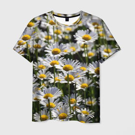 Мужская футболка 3D с принтом Ромашки в Тюмени, 100% полиэфир | прямой крой, круглый вырез горловины, длина до линии бедер | поле | поля | природа | природный | растение | растения | ромашка | ромашки | цветочек | цветочки | цветочное | цветы