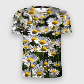Мужская футболка 3D спортивная с принтом Ромашки в Новосибирске, 100% полиэстер с улучшенными характеристиками | приталенный силуэт, круглая горловина, широкие плечи, сужается к линии бедра | поле | поля | природа | природный | растение | растения | ромашка | ромашки | цветочек | цветочки | цветочное | цветы