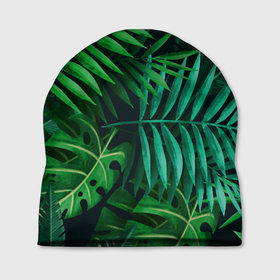 Шапка 3D с принтом Сочные тропики в Петрозаводске, 100% полиэстер | универсальный размер, печать по всей поверхности изделия | Тематика изображения на принте: заросли | кусты | лето | листья | пальма | тропики. зелень