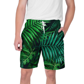 Мужские шорты 3D с принтом Сочные тропики ,  полиэстер 100% | прямой крой, два кармана без застежек по бокам. Мягкая трикотажная резинка на поясе, внутри которой широкие завязки. Длина чуть выше колен | заросли | кусты | лето | листья | пальма | тропики. зелень