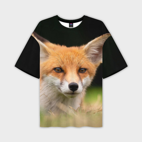 Мужская футболка oversize 3D с принтом Мордочка  лисицы в Санкт-Петербурге,  |  | fox | foxy | животное | звери | лиса | лисенок | лисичка | милая | рыжая | фокс