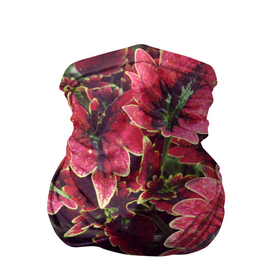 Бандана-труба 3D с принтом Красные листья в Курске, 100% полиэстер, ткань с особыми свойствами — Activecool | плотность 150‒180 г/м2; хорошо тянется, но сохраняет форму | алый | красные листья | листопад | листья | осень | пурпурный | растение | текстуры | узор | экзотически растения