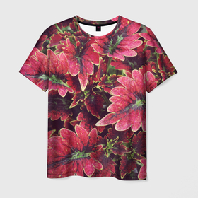 Мужская футболка 3D с принтом Красные листья в Тюмени, 100% полиэфир | прямой крой, круглый вырез горловины, длина до линии бедер | алый | красные листья | листопад | листья | осень | пурпурный | растение | текстуры | узор | экзотически растения