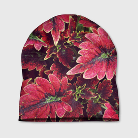 Шапка 3D с принтом Красные листья , 100% полиэстер | универсальный размер, печать по всей поверхности изделия | алый | красные листья | листопад | листья | осень | пурпурный | растение | текстуры | узор | экзотически растения
