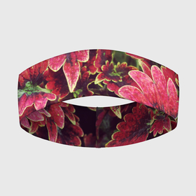 Повязка на голову 3D с принтом Красные листья в Петрозаводске,  |  | алый | красные листья | листопад | листья | осень | пурпурный | растение | текстуры | узор | экзотически растения