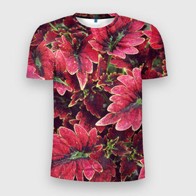Мужская футболка 3D Slim с принтом Красные листья в Екатеринбурге, 100% полиэстер с улучшенными характеристиками | приталенный силуэт, круглая горловина, широкие плечи, сужается к линии бедра | алый | красные листья | листопад | листья | осень | пурпурный | растение | текстуры | узор | экзотически растения