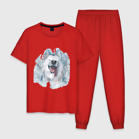 Мужская пижама хлопок с принтом Самоед в Тюмени, 100% хлопок | брюки и футболка прямого кроя, без карманов, на брюках мягкая резинка на поясе и по низу штанин
 | животные | лайка | питомцы | самоед | самоедская лайка | собака | собаки
