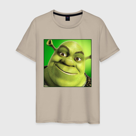 Мужская футболка хлопок с принтом Shrek | Зеленый Орк (Z) в Санкт-Петербурге, 100% хлопок | прямой крой, круглый вырез горловины, длина до линии бедер, слегка спущенное плечо. | dreamworks | shrek | зелёный огр | мульт | мультфильм | приключения