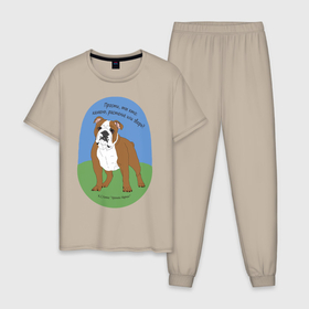 Мужская пижама хлопок с принтом Бульдог в Тюмени, 100% хлопок | брюки и футболка прямого кроя, без карманов, на брюках мягкая резинка на поясе и по низу штанин
 | бульдог | льюис | нарния | собака | ты кто | хроники нарнии