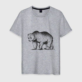 Мужская футболка хлопок с принтом Медведь Гризли | Grizzly Bear в Кировске, 100% хлопок | прямой крой, круглый вырез горловины, длина до линии бедер, слегка спущенное плечо. | alaska | american bear | art | bears | canada | illustration | united states | ursus | usa | аляска | американский медведь | арт | бурый медведь | бурый мишка | иллюстрация | канада | косолапый | медвежонок | мишка | потапыч | рисунок