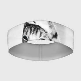 Повязка на голову 3D с принтом МИЛЫЙ КОТЕНОК  CUTE KITTEN в Тюмени,  |  | животные | кот | котенок | котеночек | кошка | милый