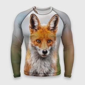 Мужской рашгард 3D с принтом Рыжая лисица фото в Курске,  |  | Тематика изображения на принте: fox | foxy | животное | звери | лиса | лисенок | лисичка | милая | рыжая | фокс
