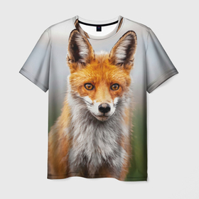 Мужская футболка 3D с принтом Рыжая лисица фото в Курске, 100% полиэфир | прямой крой, круглый вырез горловины, длина до линии бедер | Тематика изображения на принте: fox | foxy | животное | звери | лиса | лисенок | лисичка | милая | рыжая | фокс