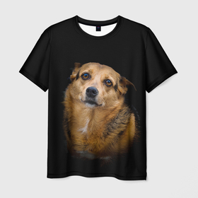 Мужская футболка 3D с принтом ГРУСТНЫЕ ГЛАЗКИ в Новосибирске, 100% полиэфир | прямой крой, круглый вырез горловины, длина до линии бедер | animal | black | dog | photo | глаза | грусть | домашние | животные | звери | пес | пушистый | собакен | собаки | черный