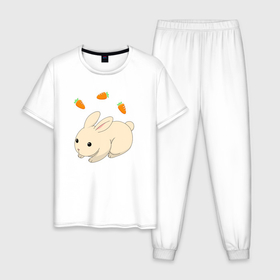 Мужская пижама хлопок с принтом кролик с морковкой в Санкт-Петербурге, 100% хлопок | брюки и футболка прямого кроя, без карманов, на брюках мягкая резинка на поясе и по низу штанин
 | аниме | грызун | домашнее животное | животное | кролик | морковь | овощ | питомец
