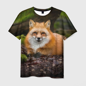 Мужская футболка 3D с принтом Взрослый строгий   лис в Курске, 100% полиэфир | прямой крой, круглый вырез горловины, длина до линии бедер | Тематика изображения на принте: fox | foxy | животное | звери | лиса | лисенок | лисичка | милая | рыжая | фокс