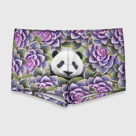 Мужские купальные плавки 3D с принтом Панда среди цветов в Тюмени, Полиэстер 85%, Спандекс 15% |  | flower | flowers | panda | панда | цветы