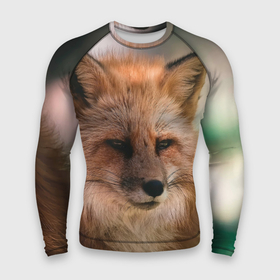 Мужской рашгард 3D с принтом Строгая лисица в Тюмени,  |  | fox | foxy | животное | звери | лиса | лисенок | лисичка | милая | рыжая | фокс