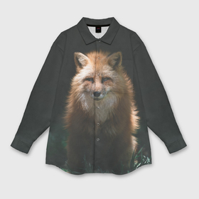 Мужская рубашка oversize 3D с принтом Хитрый лис на черном фоне ,  |  | animals | beast | forest | fox | nature | orange | predator | red | животные | зверь | лес | лис | лиса | лисица | лисичка | природа | рыжая | рыжий | фыр | хитрый | хищник