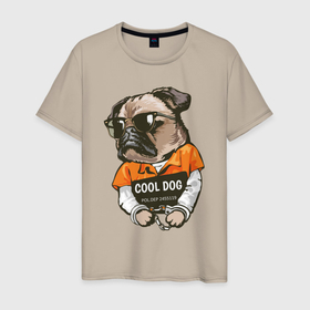 Мужская футболка хлопок с принтом Пес в наручниках в Тюмени, 100% хлопок | прямой крой, круглый вырез горловины, длина до линии бедер, слегка спущенное плечо. | cool | dog | заключенный | мопс | наручники | очки | пес | собака