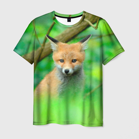 Мужская футболка 3D с принтом Лисенок в зеленом лесу в Белгороде, 100% полиэфир | прямой крой, круглый вырез горловины, длина до линии бедер | fox | foxy | животное | звери | лиса | лисенок | лисичка | милая | рыжая | фокс