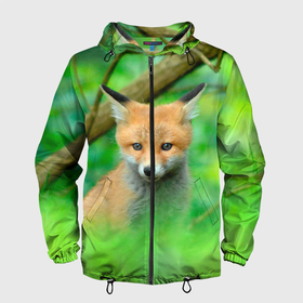 Мужская ветровка 3D с принтом Лисенок в зеленом лесу в Петрозаводске, 100% полиэстер | подол и капюшон оформлены резинкой с фиксаторами, два кармана без застежек по бокам, один потайной карман на груди | Тематика изображения на принте: fox | foxy | животное | звери | лиса | лисенок | лисичка | милая | рыжая | фокс