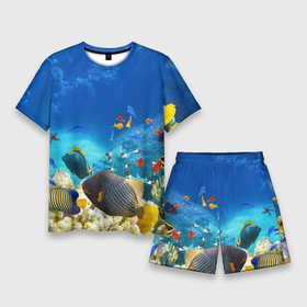 Мужской костюм с шортами 3D с принтом Морской мир в Тюмени,  |  | вода | море | морская вода | морские животные | морские жители | морской мир | океан | рыбки | рыбы