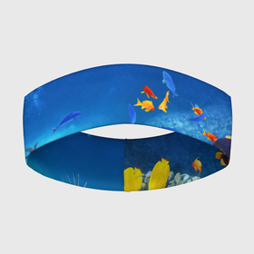 Повязка на голову 3D с принтом Морской мир в Тюмени,  |  | вода | море | морская вода | морские животные | морские жители | морской мир | океан | рыбки | рыбы
