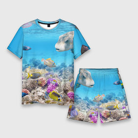 Мужской костюм с шортами 3D с принтом Морской мир в Тюмени,  |  | вода | море | морская вода | морские животные | морские жители | морской мир | океан | рыбки | рыбы