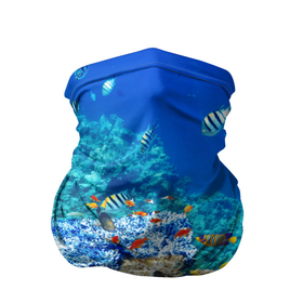 Бандана-труба 3D с принтом Морской мир в Курске, 100% полиэстер, ткань с особыми свойствами — Activecool | плотность 150‒180 г/м2; хорошо тянется, но сохраняет форму | вода | море | морская вода | морские животные | морские жители | морской мир | океан | рыбки | рыбы