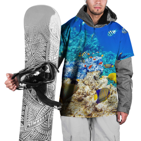 Накидка на куртку 3D с принтом Морской мир в Тюмени, 100% полиэстер |  | вода | море | морская вода | морские животные | морские жители | морской мир | океан | рыбки | рыбы