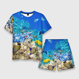 Мужской костюм с шортами 3D с принтом Морской мир в Санкт-Петербурге,  |  | вода | море | морская вода | морские животные | морские жители | морской мир | океан | рыбки | рыбы