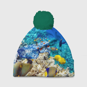 Шапка 3D c помпоном с принтом Морской мир в Курске, 100% полиэстер | универсальный размер, печать по всей поверхности изделия | вода | море | морская вода | морские животные | морские жители | морской мир | океан | рыбки | рыбы