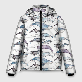 Мужская зимняя куртка 3D с принтом киты паттерн в Белгороде, верх — 100% полиэстер; подкладка — 100% полиэстер; утеплитель — 100% полиэстер | длина ниже бедра, свободный силуэт Оверсайз. Есть воротник-стойка, отстегивающийся капюшон и ветрозащитная планка. 

Боковые карманы с листочкой на кнопках и внутренний карман на молнии. | Тематика изображения на принте: ocean | sea | sea animal | акварель | графика | касатка | киты | море | океан | рисунок кита