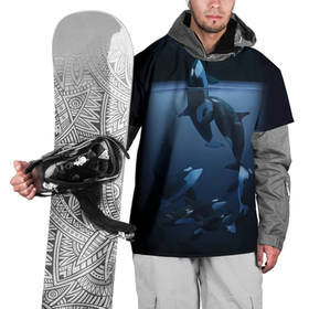 Накидка на куртку 3D с принтом касатки в Курске, 100% полиэстер |  | ocean | orca | sea | sea animal | дельфин | касатка | кит | море | океан | рисунок кита