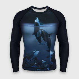 Мужской рашгард 3D с принтом касатки в Курске,  |  | ocean | orca | sea | sea animal | дельфин | касатка | кит | море | океан | рисунок кита